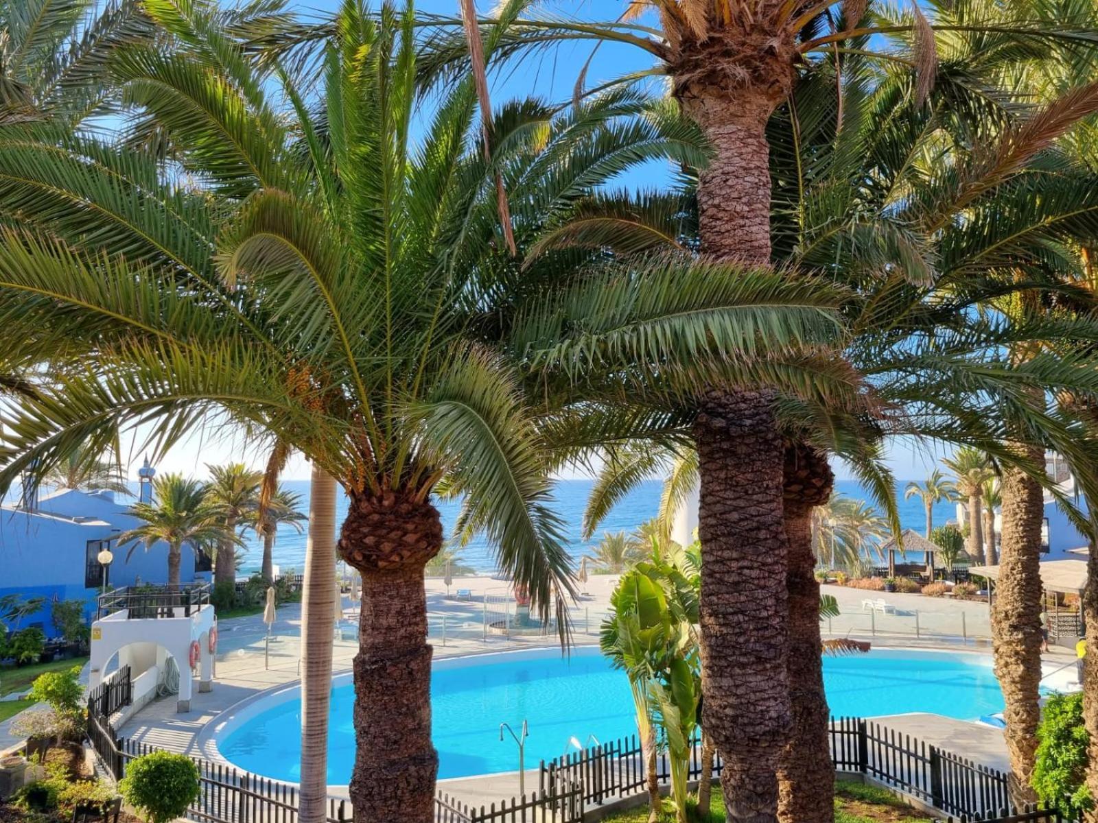 Top 2 Sun Club Bungalow Terraza Maspalomas  Eksteriør bilde