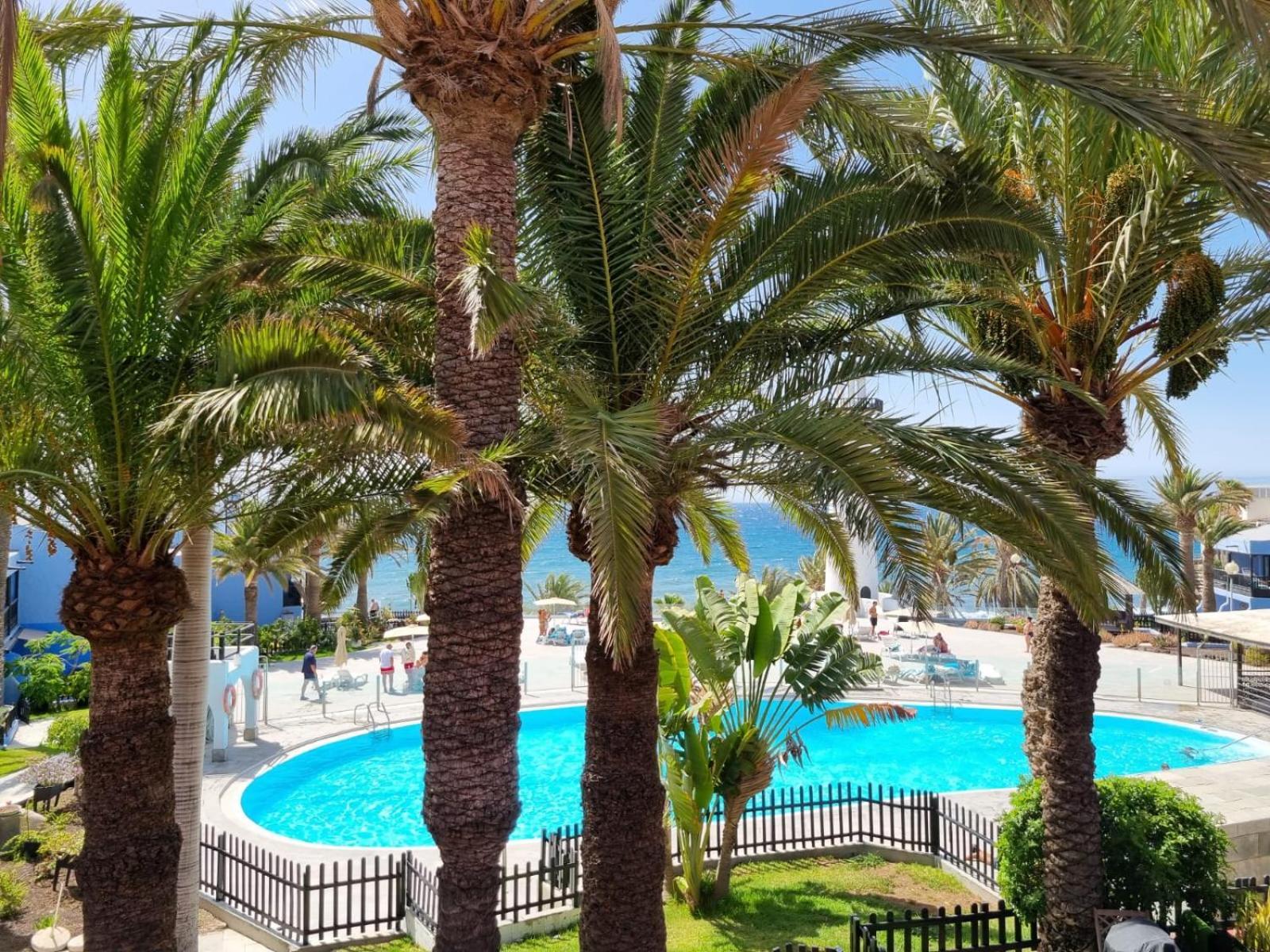 Top 2 Sun Club Bungalow Terraza Maspalomas  Eksteriør bilde